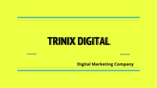 Online Advertising Company in Kerala | Trinix Digital