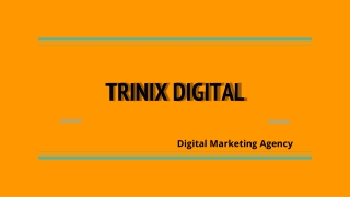 Best Digital Marketing & Advertising Agency in Calicut