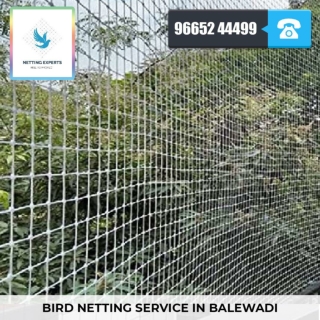 Bird Netting Service In Balewadi - WhatsApp :  91 96652 44499