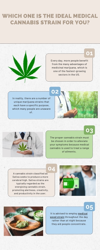 Which One is the Ideal Medical Cannabis Strain for you