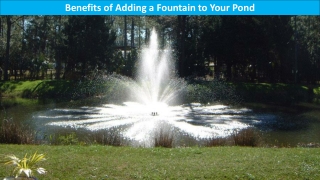 Benefits of Adding a Fountain to Your Pond