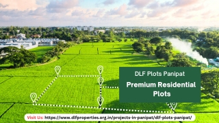 DLF Plots Panipat – Premium Residential Plots In Haryana