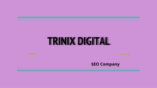 Best SEO Company in Calicut | SEO Services in Calicut