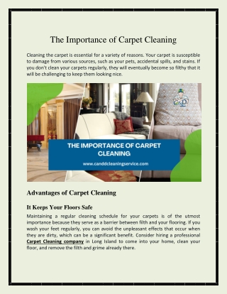 Why Is Carpet Cleaning So Important