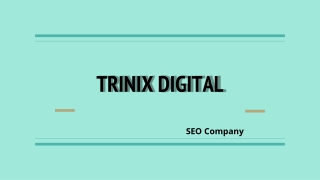 Best SEO Company in Kerala| SEO Services in Kerala
