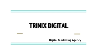 Trinix Digital - Digital Marketing Agency in Malappuram