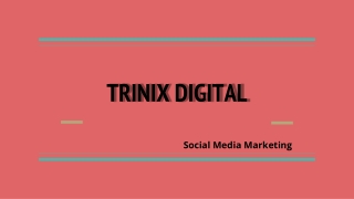Trinix Digital - Social Media Marketing in Edappal