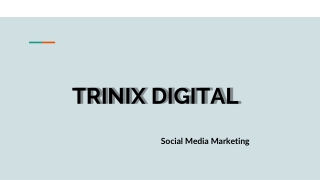 Trinix Digital - Digital Marketing in Edappal
