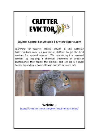 Squirrel Control San Antonio | Critterevictortx.com