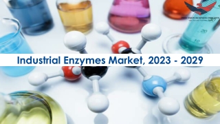 Industrial Enzymes Market Trends and Segments Forecast To 2029