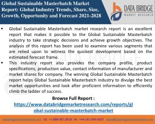 Sustainable Masterbatch Market-Chemical Material