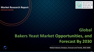 Bakers Yeast Market Expected to Expand at a Steady 2022-2030