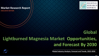 Lightburned Magnesia Market to Perceive Substantial Growth during 2030