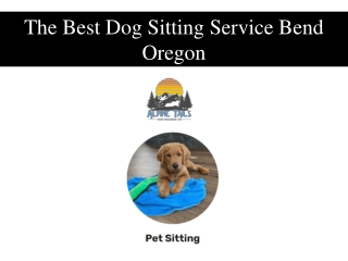 The Best Dog Sitting Service Bend Oregon