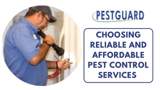 Choosing Reliable And Affordable Pest Control Services