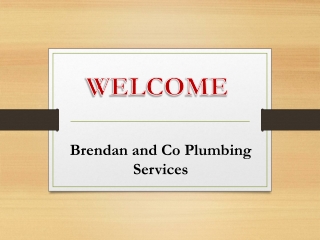 Looking for the solution of Blocked drains in Springwood?