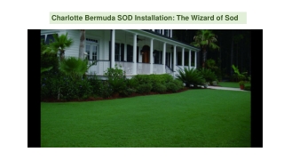 Charlotte Bermuda SOD Installation The Wizard of Sod