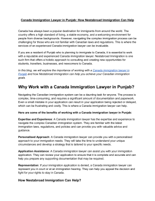Canada Immigration Lawyer in Punjab_ How Nestabroad Immigration Can Help