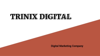 Top Digital Marketing Company in Kerala, Calicut