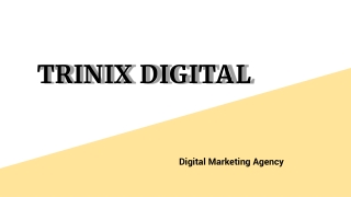 Best Digital Marketing & SEO Agency in Calicut