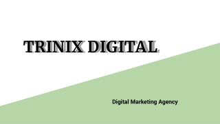 Best SEO Company in Calicut | Effective SEO Solutions