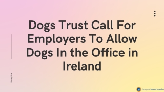 Dogs Trust Call For Employers To Allow Dogs In the Office in Ireland - Slaneyside Kennels