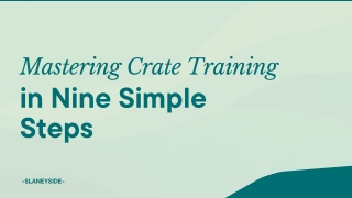 Mastering Crate Training in Nine Simple Steps - Slaneyside Kennels