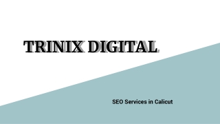 Best SEO Services in Calicut | Drive More Traffic