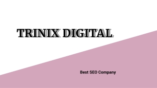 Best SEO Company in Kerala | SEO Experts