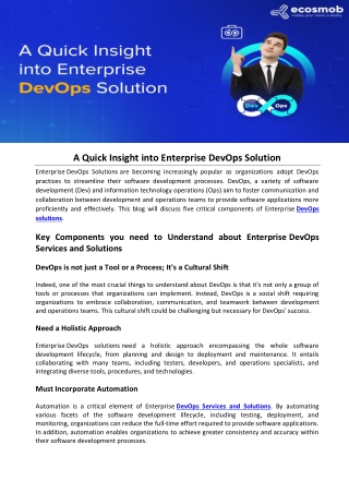 A Quick Insight into Enterprise DevOps Solution