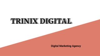 Digital Marketing Agency in Malappuram
