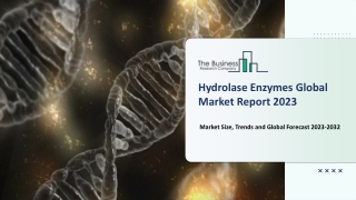 Global Hydrolase Enzymes Market Report By Size, Share And Forecast To 2023-2032