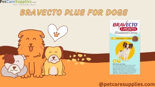 New Lunch: Bravecto 1 Month Chew for Dogs |petcaresupplies|