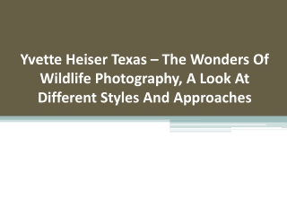 Yvette Heiser Texas – The Wonders Of Wildlife Photography, A Look At Different Styles And Approaches