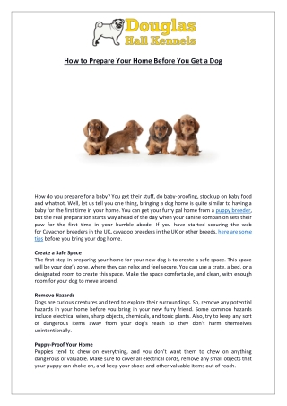 7 Things to Prepare Your Home for A Puppy | Douglas Hall Kennels