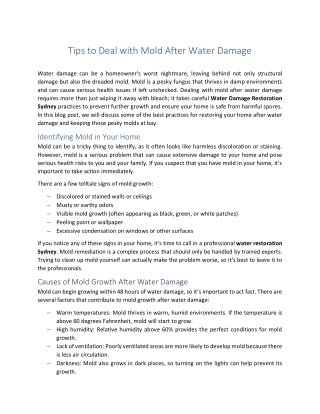 Tips to Deal with Mold After Water Damage