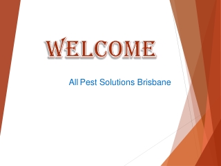 Get the best Termite inspections in Warner