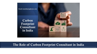 The Role of Carbon Footprint Consultant in India