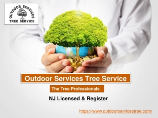 All Tree Services in New Jersey