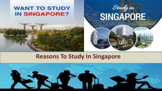 Reasons To Study In Singapore