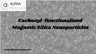 Carboxyl-functionalized magnetic silica nanoparticles