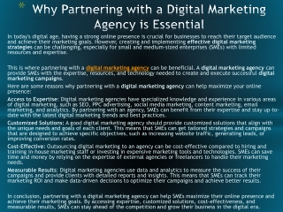 Why Partnering with a Digital Marketing Agency is Essential