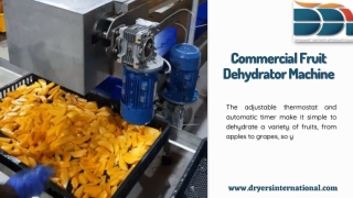 Commercial Fruit Dehydrator Machine