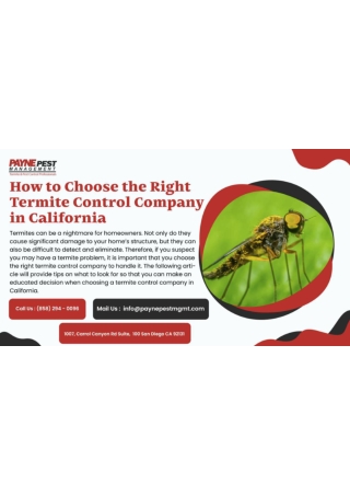 TERMITE CONTROL EXPERTS Professional Pest Control Company California