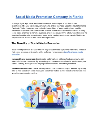 Social Media Promotion Company in Florida