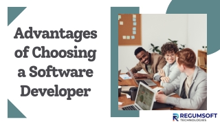 Hire a Software Developer