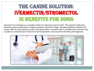 The Canine Solution: Ivermectin's Benefits for Dogs