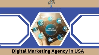 Digital Marketing Agency in USA (1)