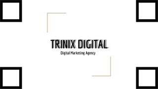 Best Digital Marketing Agency in Kerala