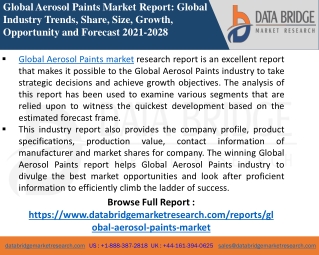 Aerosol Paints Market-Chemical Material